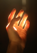 Energy Healing & Reiki